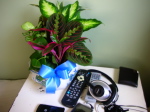 Flowers from work